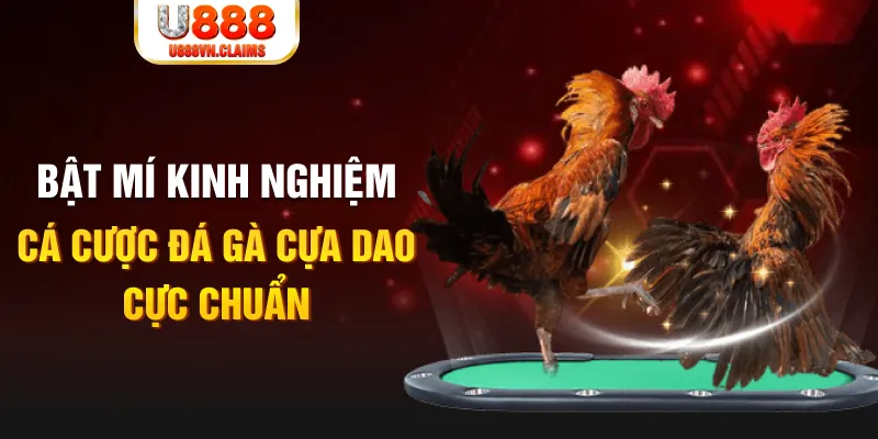 xstd 30 trong baccarat, ai là người chia bài chính？