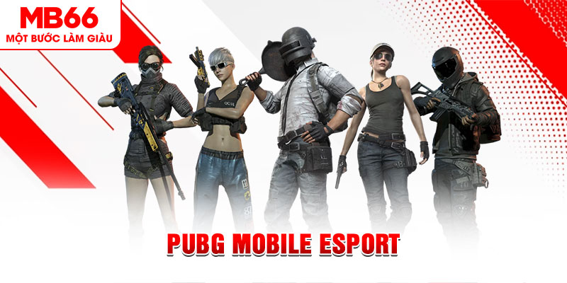 xstd 30 gà chọi c1 mới nhất