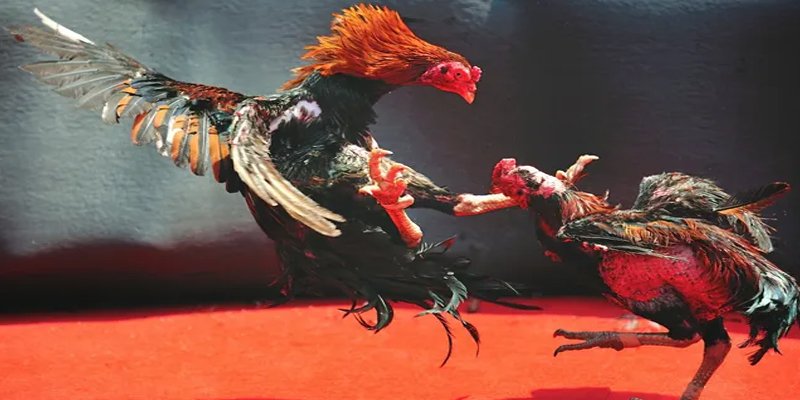 xstd 30 đăng nhập nổ hũ số 1