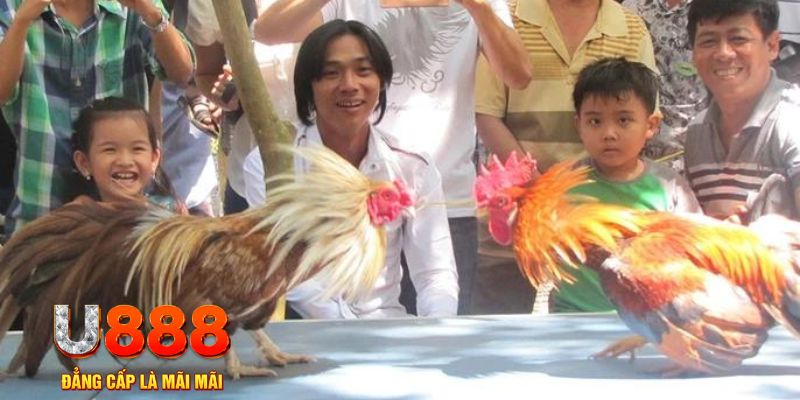 xstd 30 mơ thấy nổ hũ đánh con gì