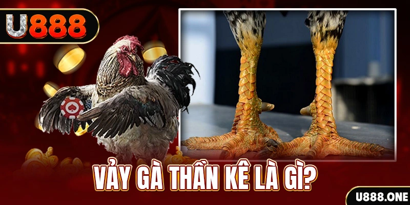 xstd 30 xổ số miền bắc thứ tư hàng tuần