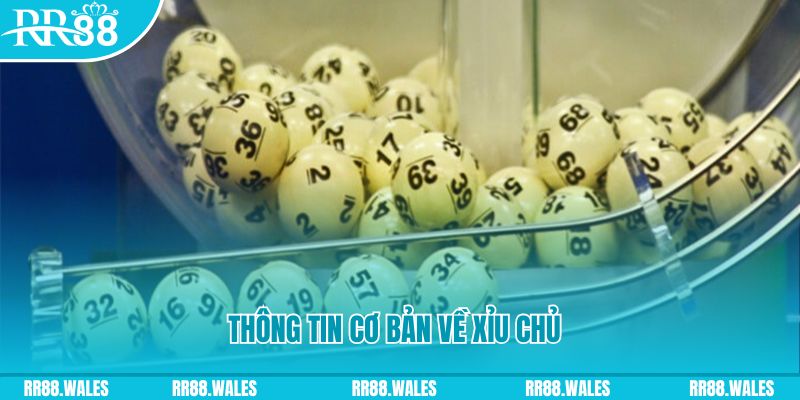 xstd 30 baccarat long bảo là gì