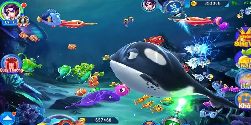 xstd 30 truc tiep da ga