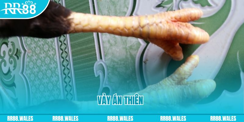 xstd 30 who wants to be a millionaire slot