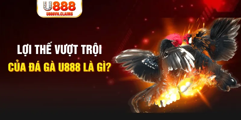 xstd 30 888 slot là gì